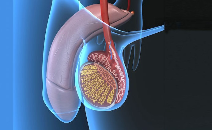 What is Varicocele? Symptoms, Causes and Treatment